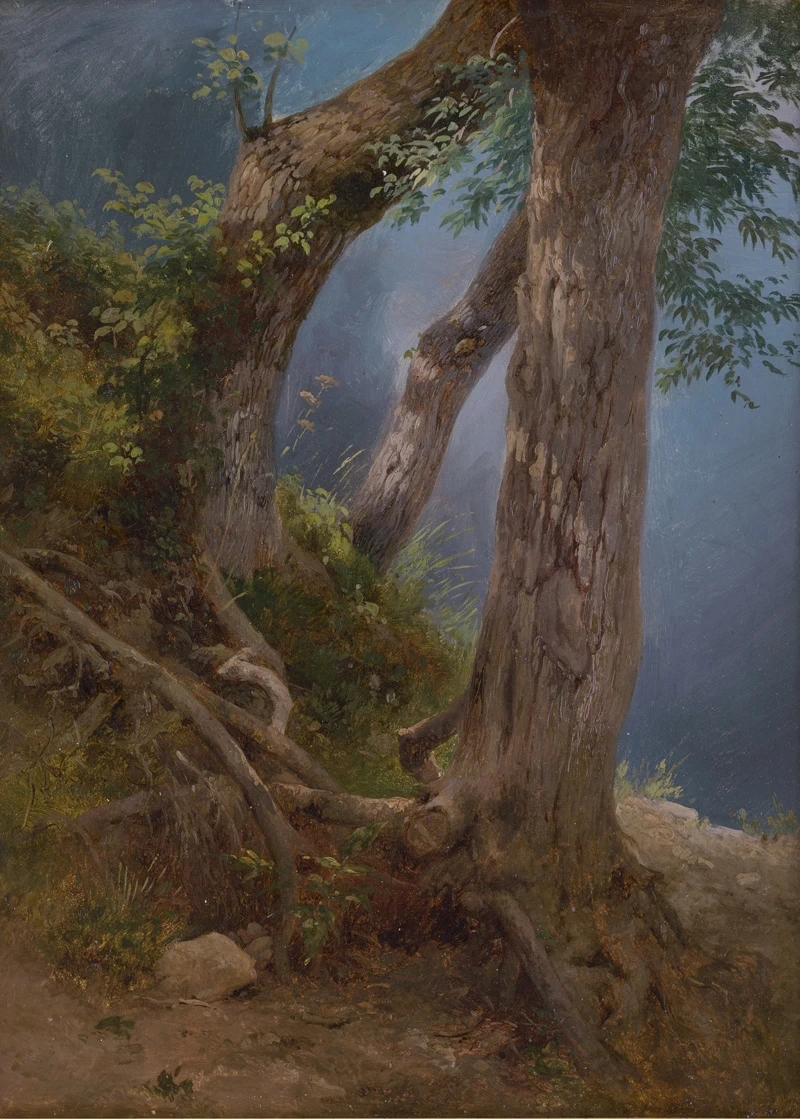 Studio forestale con alberi sul pendio